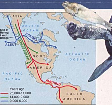 BeringLandBridgeNationalPreserve2地图,美国地图高清中文版