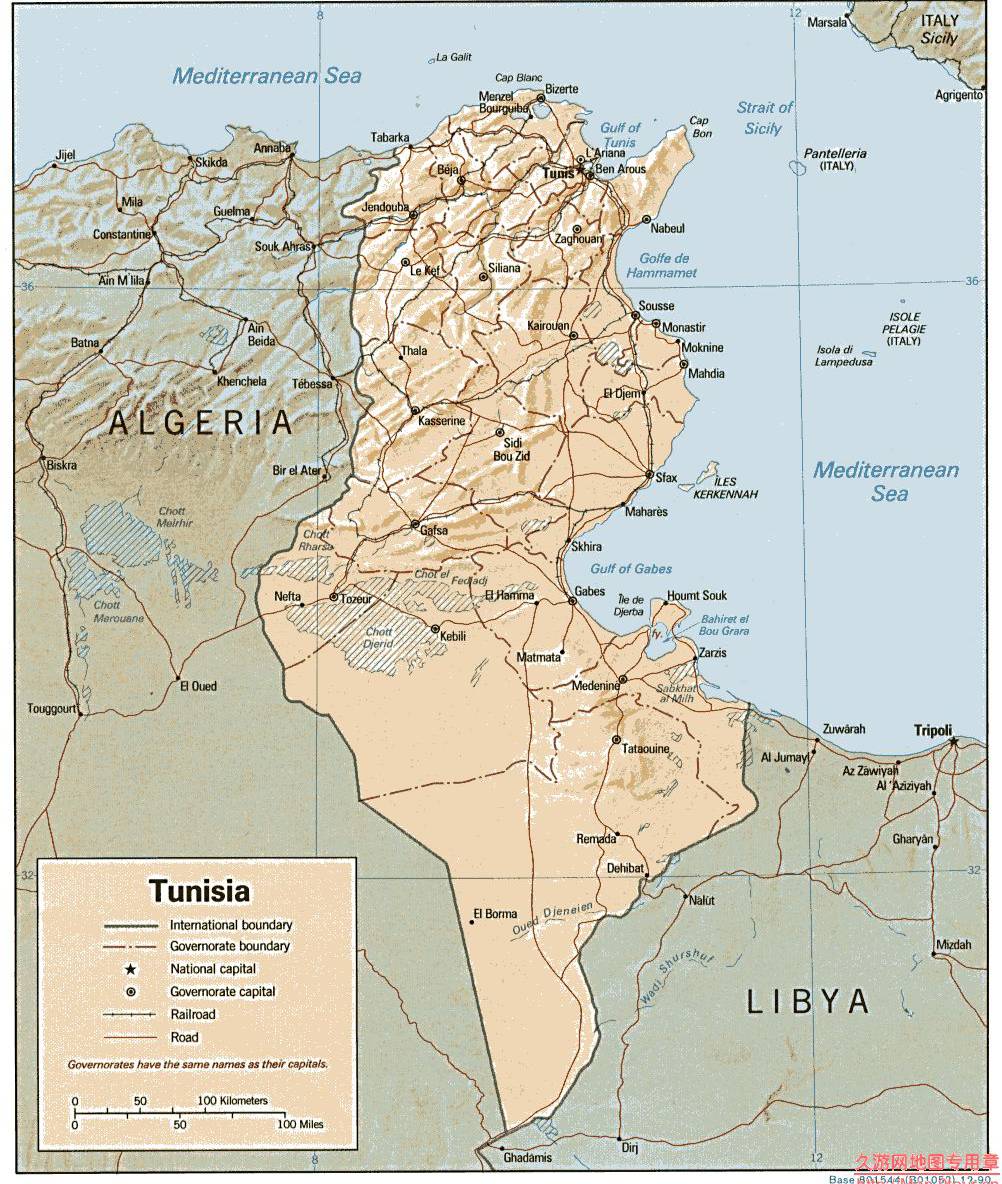 突尼斯地形图