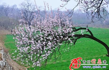 杏花岭天气预报10天查询，末来十天天气