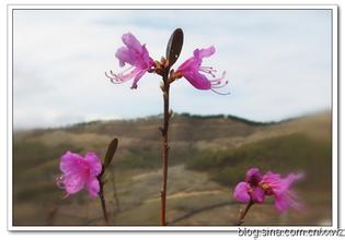 四方台天气预报30天查询,四方台区一个月天气
