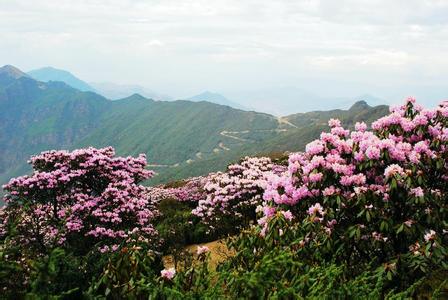 会理天气预报30天查询,会理县一个月天气