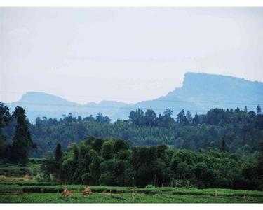 眉山丹棱天气预报_丹棱天气预报一周7天10天15天眉山丹棱天气预报,丹棱天气预报一周7天10天15天