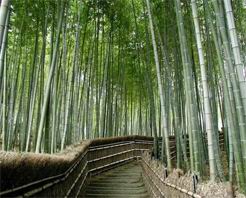 兰州竹林沟天气 兰州竹林沟天气