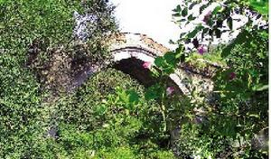 张掖四善桥天气 张掖四善桥天气