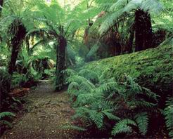 陇南文县尖山天气 陇南文县尖山天气