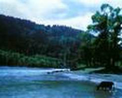 陇南香山天气 陇南香山天气