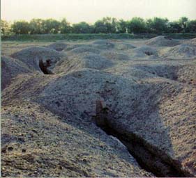 吐鲁番阿斯塔那古墓群天气 吐鲁番阿斯塔那古墓群天气