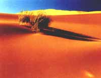 昌吉鸣沙山天气 昌吉鸣沙山天气