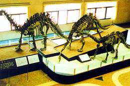 昌吉恐龙国家地质公园天气 昌吉恐龙国家地质公园天气