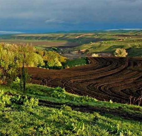 伊犁大莫乎尔和小莫乎尔天气 伊犁大莫乎尔和小莫乎尔天气