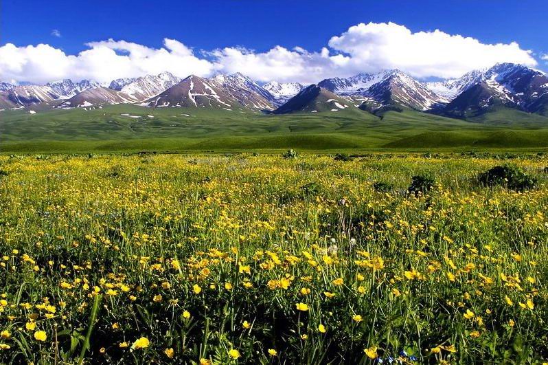 昭苏洪那海麻扎天气 昭苏洪那海麻扎天气