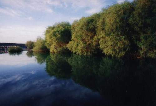 石河子市巴音山庄天气 石河子市巴音山庄天气
