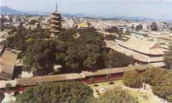 泉州开元寺天气 泉州开元寺天气