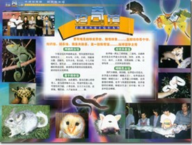 厦门珍奇世界天气 厦门珍奇世界天气