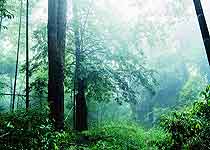 武平梁野山国家自然保护区天气 武平梁野山国家自然保护区天气