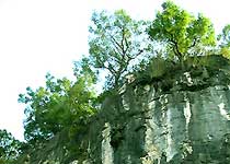 龙岩狮岩天气 龙岩狮岩天气