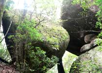 三明均峰山自然保护区天气 三明均峰山自然保护区天气