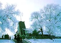 哈尔滨斯大林公园天气 哈尔滨斯大林公园天气