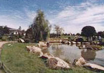 哈尔滨新泻友谊园天气 哈尔滨新泻友谊园天气