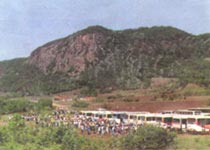 哈尔滨长寿国家森林公园天气 哈尔滨长寿国家森林公园天气