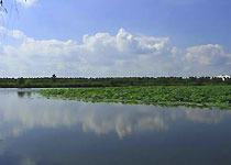 新民小西湖天气 新民小西湖天气