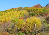 抚顺三块石国家森林公园天气 抚顺三块石国家森林公园天气