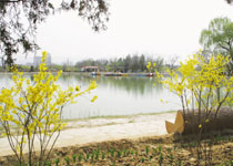 安宁植物园天气 安宁植物园天气