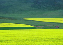 甘州大马营草原天气 甘州大马营草原天气