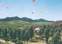 甘南州合作森林公园天气 甘南州合作森林公园天气