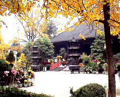 莆田三清殿天气 莆田三清殿天气