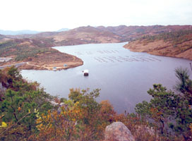 大连安波七道房水库天气 大连安波七道房水库天气