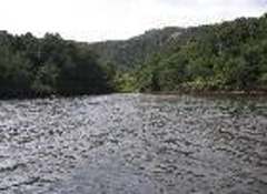 厦门坂头森林公园天气 厦门坂头森林公园天气