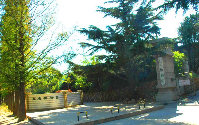 大连植物园天气 大连植物园天气