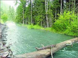 丹东宽甸鸭绿江自然保护区天气 丹东宽甸鸭绿江自然保护区天气