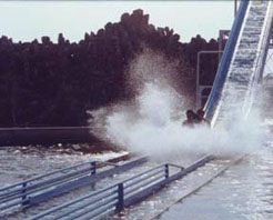 长春胜利公园天气 长春胜利公园天气