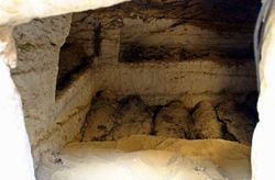 齐齐哈尔托苏将军墓天气 齐齐哈尔托苏将军墓天气