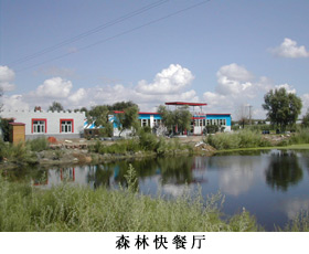 齐齐哈尔铁农园艺园天气 齐齐哈尔铁农园艺园天气