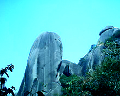 南平浮盖山天气 南平浮盖山天气