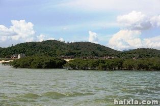 漳州海底森林天气 漳州海底森林天气