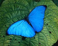 台湾木生昆虫研究所天气 台湾木生昆虫研究所天气