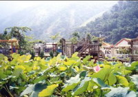 台湾台一教育农园天气 台湾台一教育农园天气