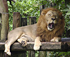 台北市立动物园天气 台北市立动物园天气
