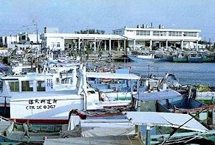 桃园永安海滨公园天气 桃园永安海滨公园天气