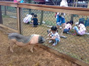 桃园埔心牧场天气 桃园埔心牧场天气