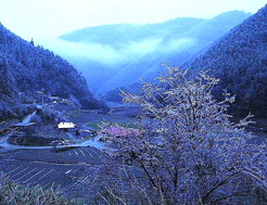 台湾思源垭口天气 台湾思源垭口天气