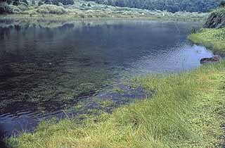 台湾梦幻湖天气 台湾梦幻湖天气