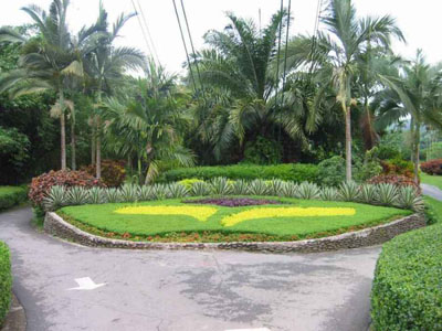 台湾大自然花园天气 台湾大自然花园天气