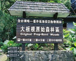 台湾大板根森林天气 台湾大板根森林天气