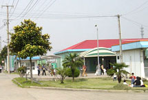 上海孙桥现代农业开发区天气 上海孙桥现代农业开发区天气