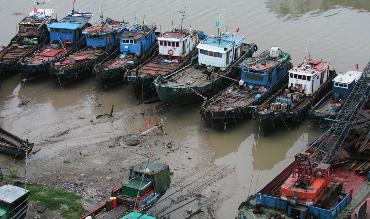 上海芦潮港天气 上海芦潮港天气